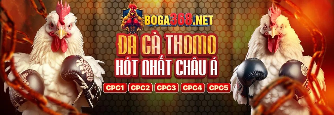 Hướng dẫn cá cược thể thao good88 game